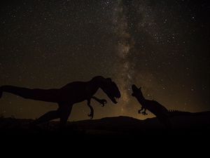 Preview wallpaper dinosaurs, space, starry sky, dark