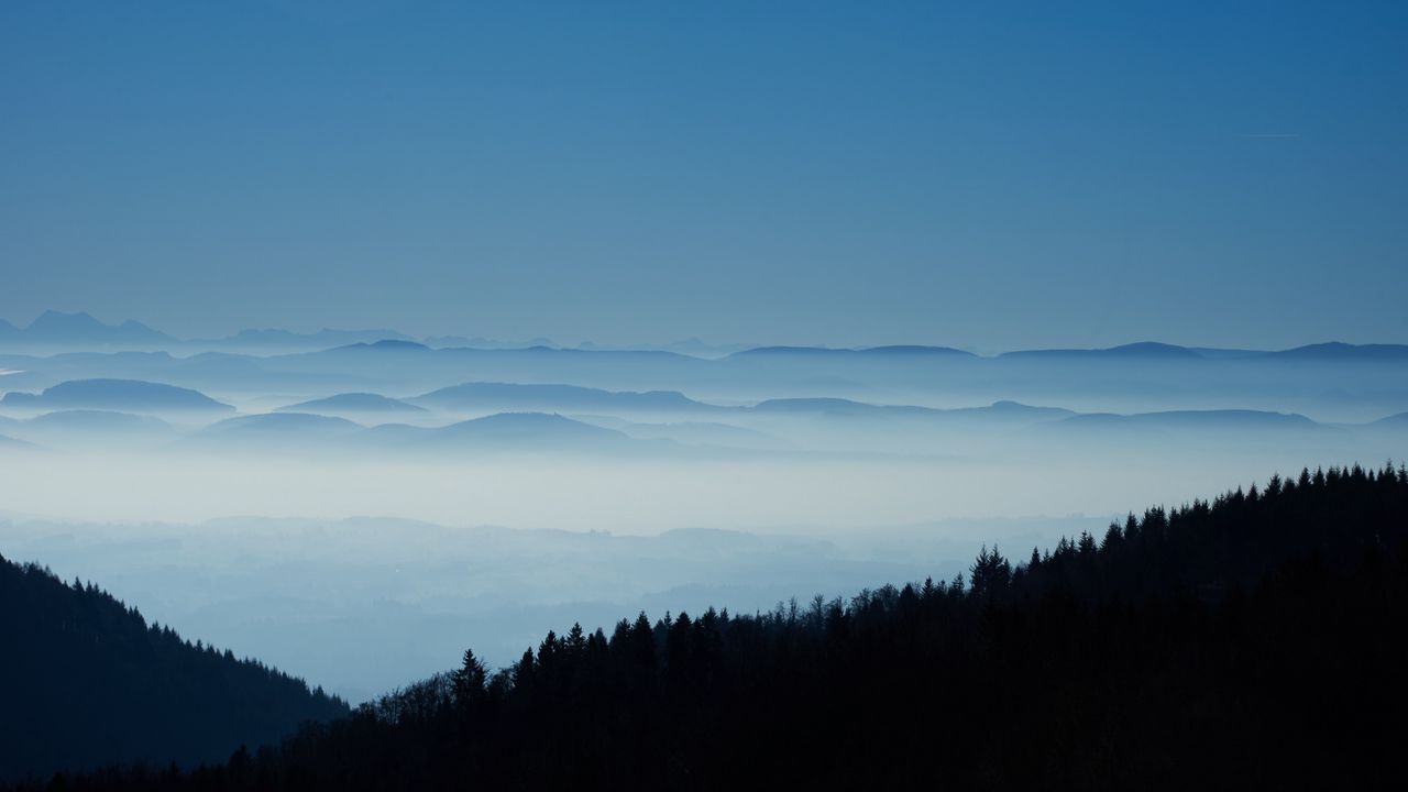 Wallpaper distance, fog, forest, hills