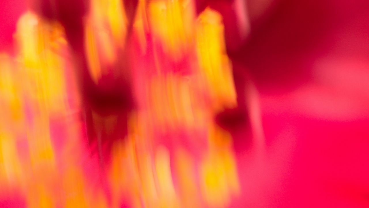 Wallpaper distortion, blur, abstraction, pink, yellow