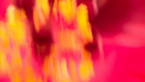 Preview wallpaper distortion, blur, abstraction, pink, yellow