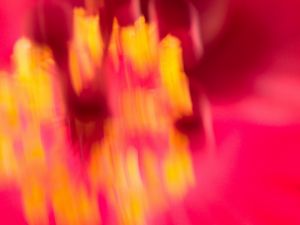 Preview wallpaper distortion, blur, abstraction, pink, yellow