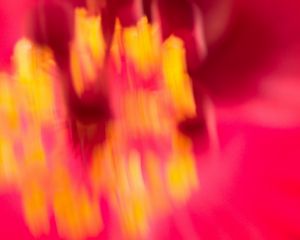 Preview wallpaper distortion, blur, abstraction, pink, yellow