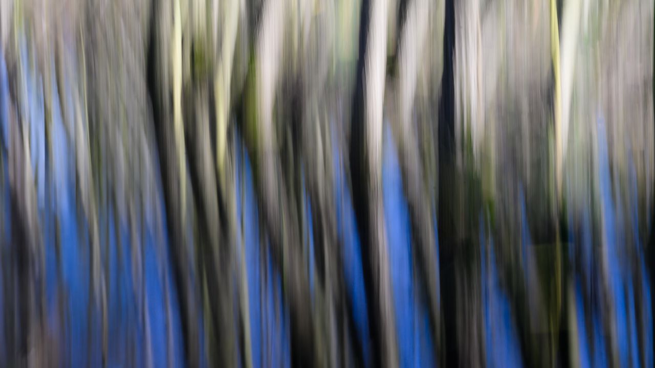 Wallpaper distortion, stripes, lines, blur