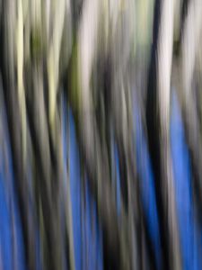 Preview wallpaper distortion, stripes, lines, blur