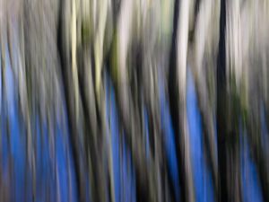 Preview wallpaper distortion, stripes, lines, blur