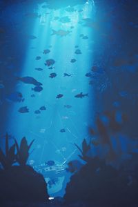 Preview wallpaper diving, under water, ray of light, depth, fish, bottom