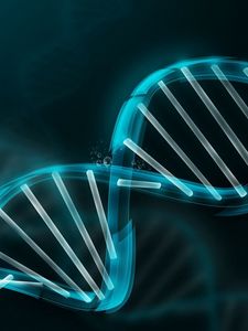 Dna old mobile, cell phone, smartphone wallpapers hd, desktop backgrounds  240x320, images and pictures