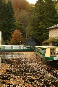 Preview wallpaper dock, boats, walking, river, leaves, autumn