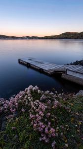 Preview wallpaper dock, lake, shore, flowers, sunset, nature