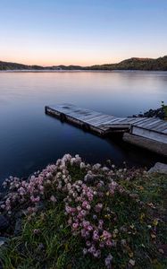 Preview wallpaper dock, lake, shore, flowers, sunset, nature