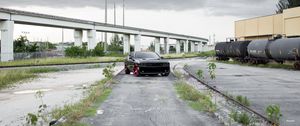 Preview wallpaper dodge challenger, dodge, car, black, front view