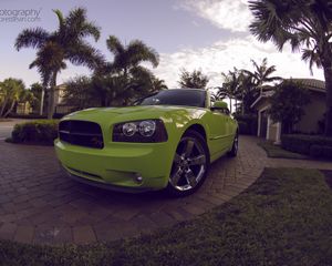 Preview wallpaper dodge charger daytona, dodge, green, sports car