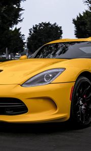 Preview wallpaper dodge, viper, yellow, front view, trees