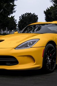 Preview wallpaper dodge, viper, yellow, front view, trees