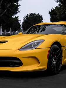 Preview wallpaper dodge, viper, yellow, front view, trees