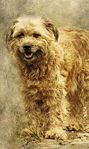 Preview wallpaper dog, art, fluffy