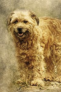 Preview wallpaper dog, art, fluffy