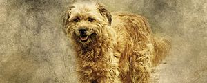 Preview wallpaper dog, art, fluffy