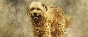 Preview wallpaper dog, art, fluffy