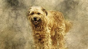 Preview wallpaper dog, art, fluffy