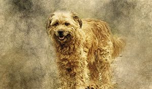 Preview wallpaper dog, art, fluffy