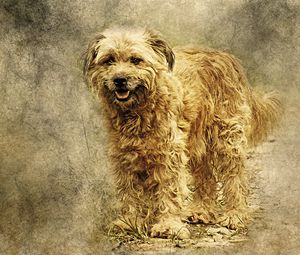 Preview wallpaper dog, art, fluffy