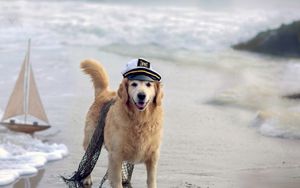 Preview wallpaper dog, cap, network, sea, ship