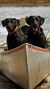 Preview wallpaper dog, couple, boats, rocks, river