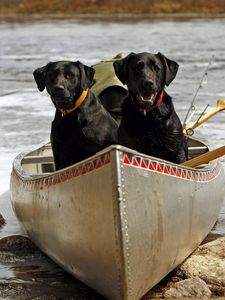 Preview wallpaper dog, couple, boats, rocks, river