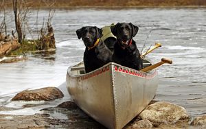 Preview wallpaper dog, couple, boats, rocks, river