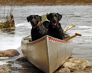 Preview wallpaper dog, couple, boats, rocks, river