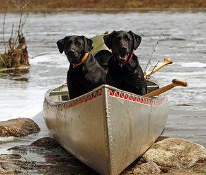 Preview wallpaper dog, couple, boats, rocks, river