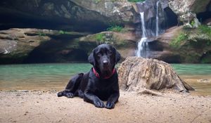 Preview wallpaper dog, labrador, black, down, sand, waterfall