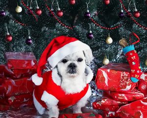 Preview wallpaper dog, new year, gifts, christmas tree, ornaments