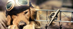 Preview wallpaper dog, pilot, plane, sunglasses, hat