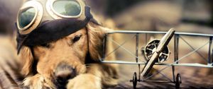 Preview wallpaper dog, pilot, plane, sunglasses, hat