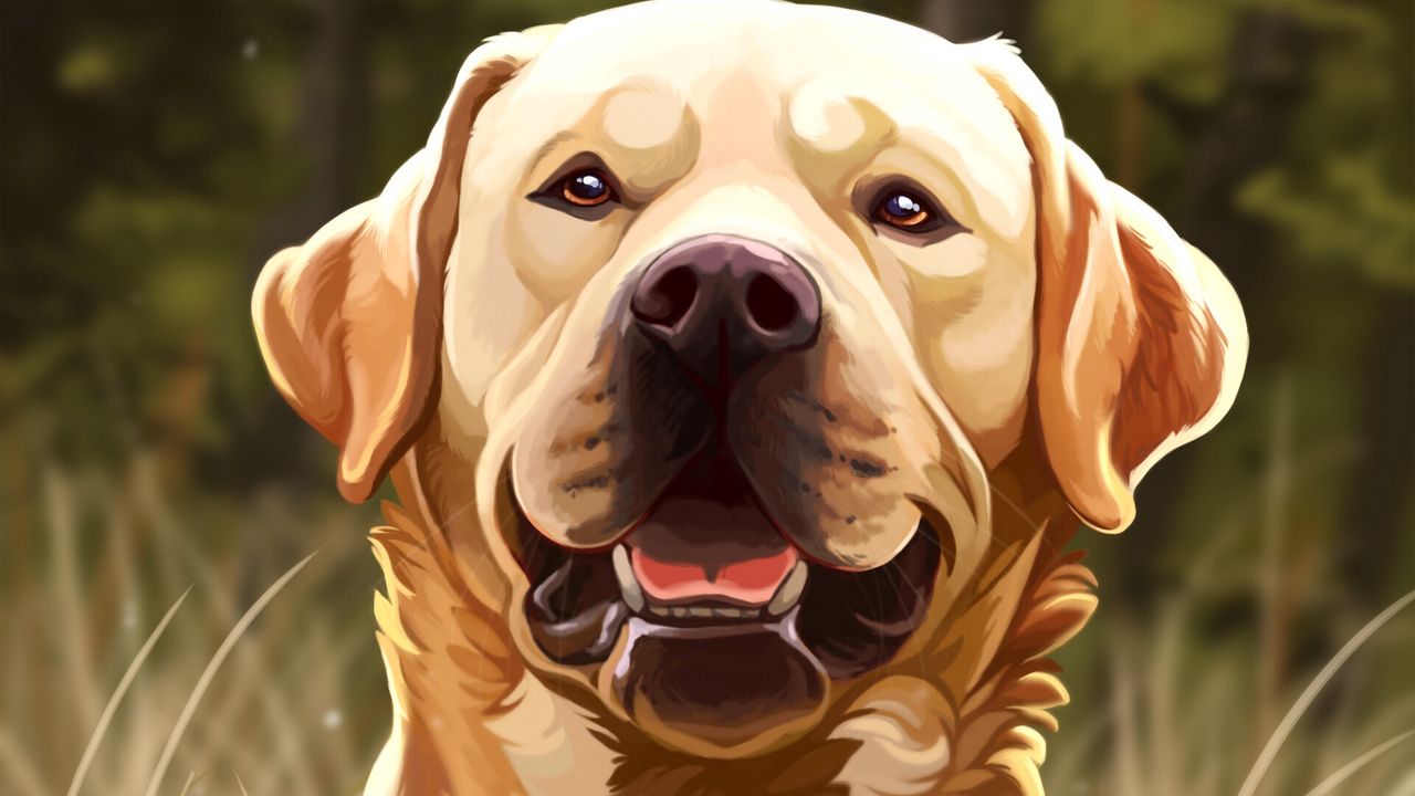 Wallpaper dog, protruding tongue, art, glance, pet