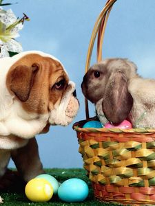 Preview wallpaper dog, rabbit, eggs, easter, basket