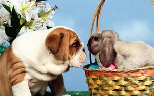 Preview wallpaper dog, rabbit, eggs, easter, basket