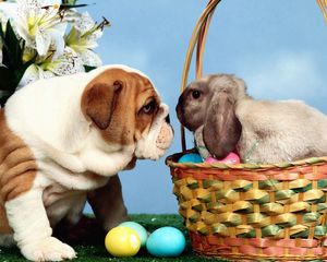 Preview wallpaper dog, rabbit, eggs, easter, basket