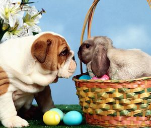 Preview wallpaper dog, rabbit, eggs, easter, basket