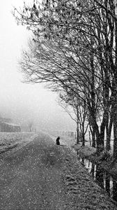 Preview wallpaper dog, snow, bw, street, winter