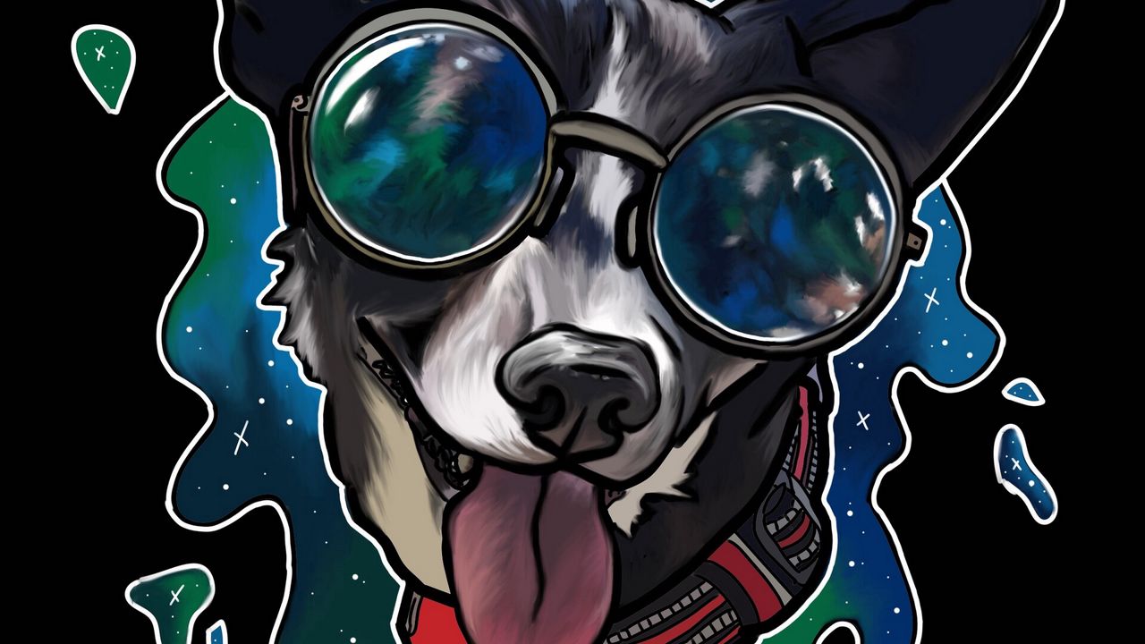 Wallpaper dog, tongue protruding, sunglasses, collar, art