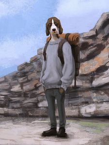 Preview wallpaper dog, tourist, backpack, art