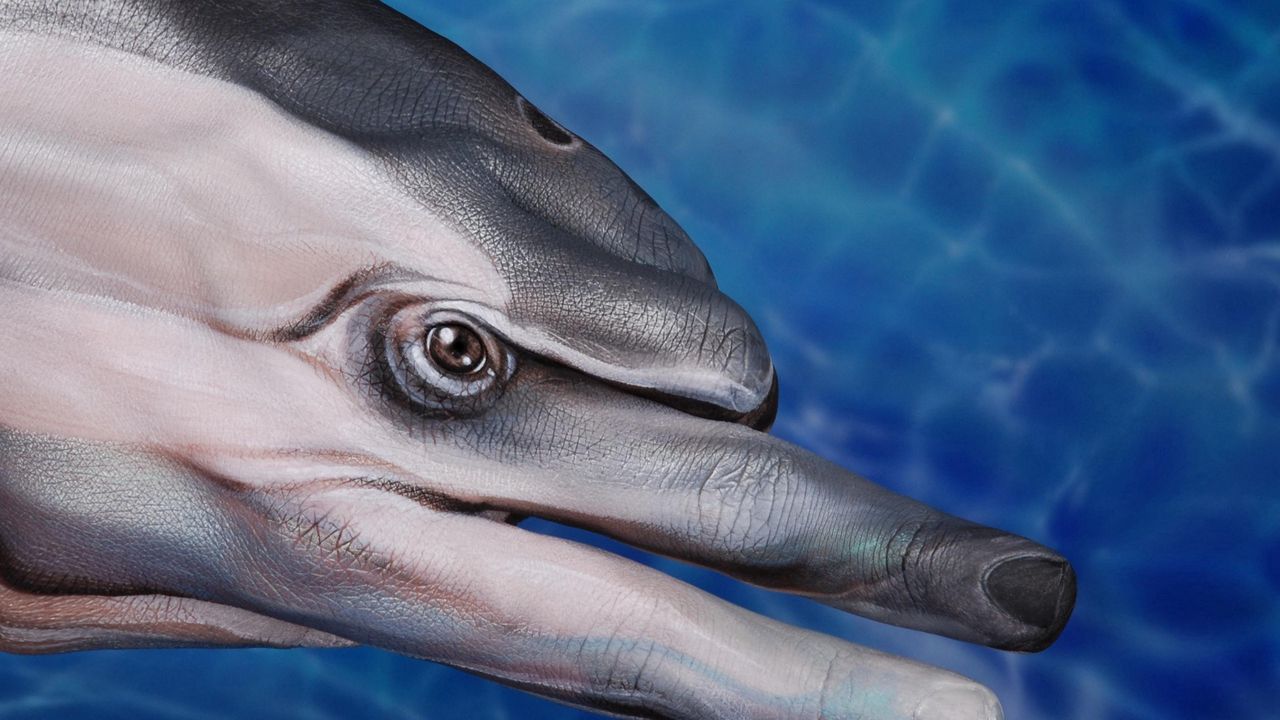 Wallpaper dolphin fingers, paint, imagination