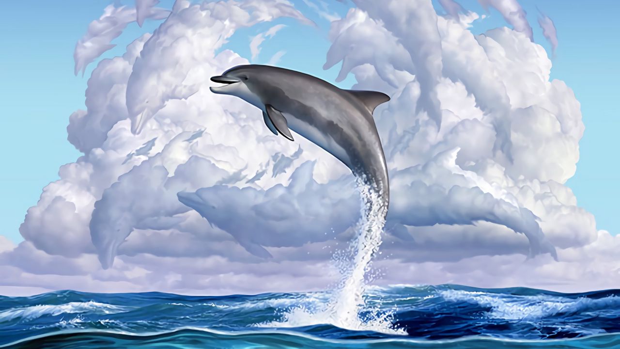 Wallpaper dolphin, funny, underwater world, art hd, picture, image