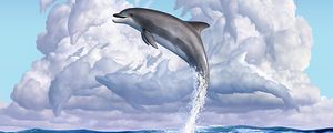 Preview wallpaper dolphin, funny, underwater world, art
