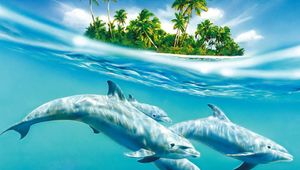 Preview wallpaper dolphin, palm trees, wind, waves, sea, trees