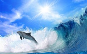 Preview wallpaper dolphin, sunshine, shine, jump, sea