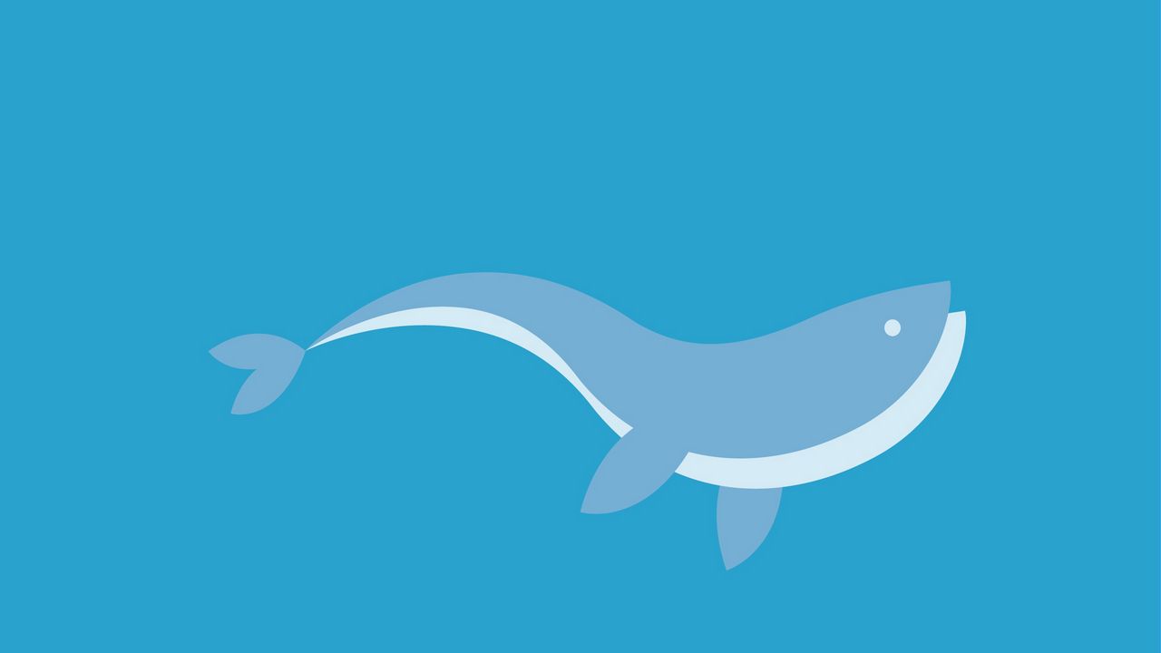 Wallpaper dolphin, swim, fish, graphics